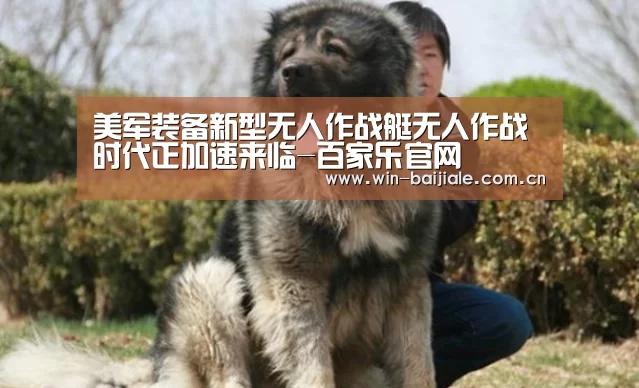 澳门线上百家乐