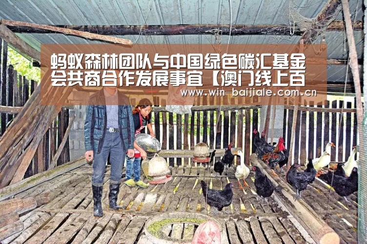 蚂蚁森林团队与中国绿色碳汇基金会共商合作发展事宜【澳门线上百家乐】(图1) 澳门线上百家乐