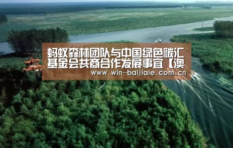蚂蚁森林团队与中国绿色碳汇基金会共商合作发展事宜【澳门线上百家乐】(图2) 百家乐官网