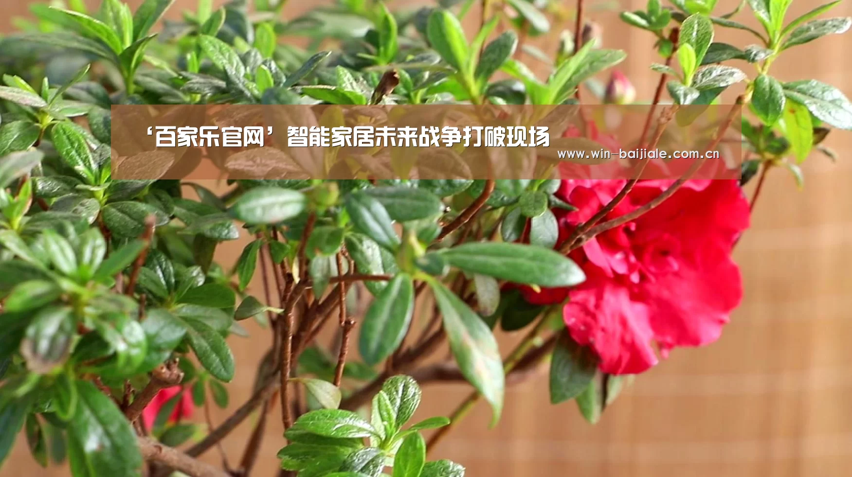 ‘百家乐官网’智能家居未来战争打破现场(图4) 百家乐官网
